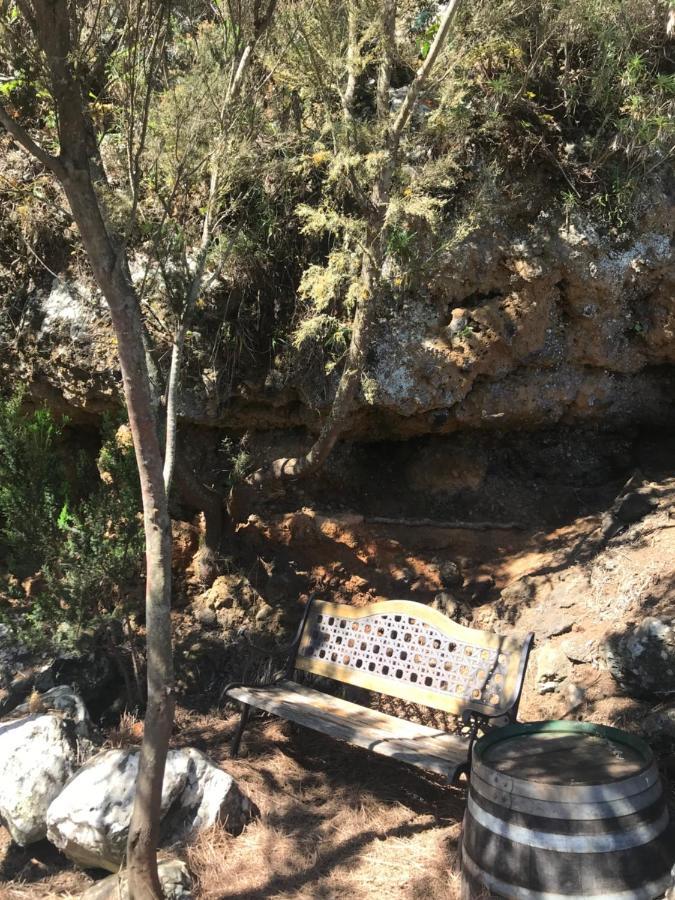 Casas Del Monte II ξενώνας Valverde  Εξωτερικό φωτογραφία