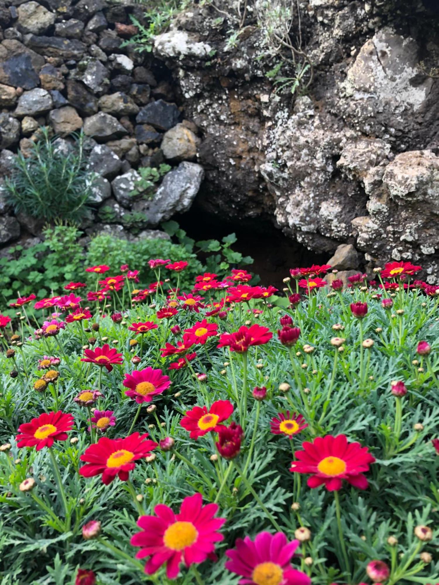 Casas Del Monte II ξενώνας Valverde  Εξωτερικό φωτογραφία